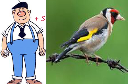 Afbeelding